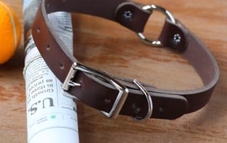 Thick leather dog collar made with dark brown bridle leather