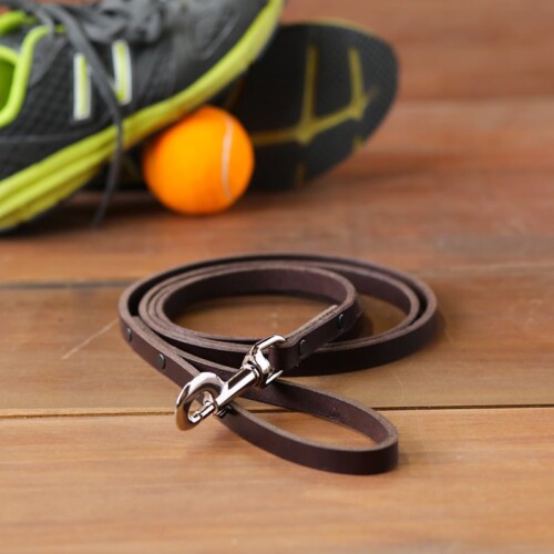 A sturdy dog leash for small to medium sized dogs made with brown full grain leather